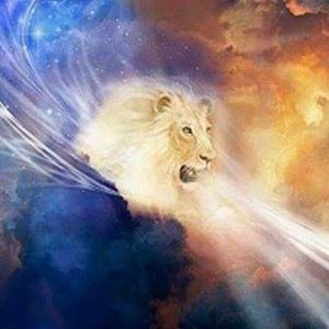 Meet your Posher, Wanda